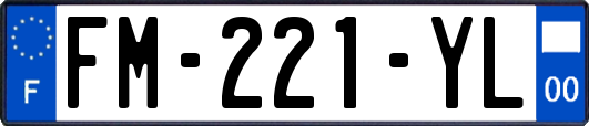 FM-221-YL