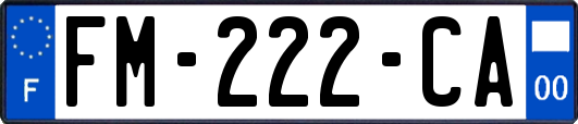 FM-222-CA