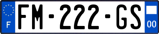 FM-222-GS