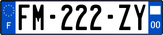 FM-222-ZY