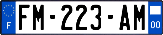 FM-223-AM