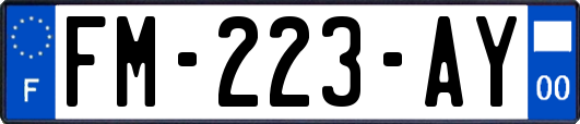 FM-223-AY