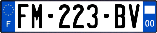 FM-223-BV