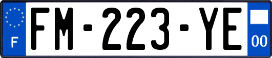FM-223-YE