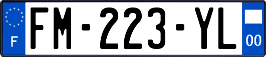 FM-223-YL