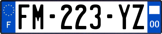 FM-223-YZ