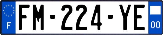 FM-224-YE