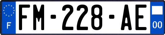 FM-228-AE