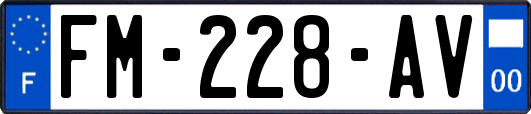 FM-228-AV