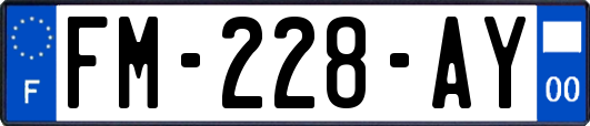 FM-228-AY