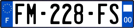 FM-228-FS