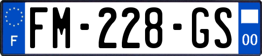 FM-228-GS