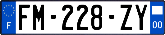 FM-228-ZY