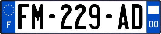 FM-229-AD