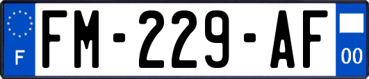 FM-229-AF