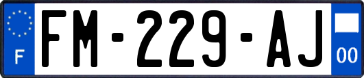 FM-229-AJ