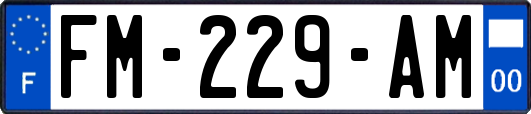 FM-229-AM