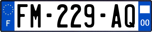 FM-229-AQ