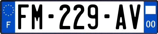FM-229-AV