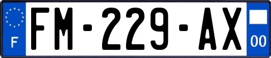 FM-229-AX