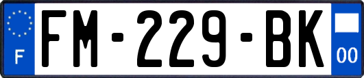 FM-229-BK