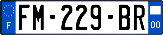 FM-229-BR