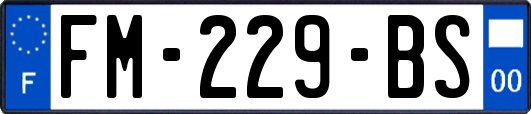 FM-229-BS