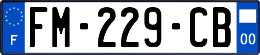 FM-229-CB