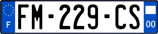 FM-229-CS