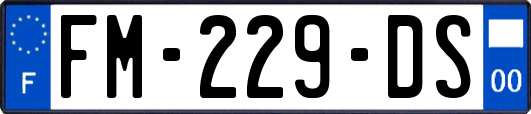 FM-229-DS