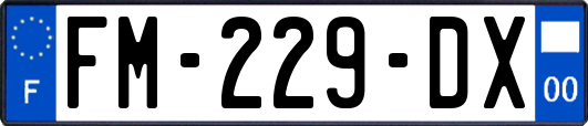 FM-229-DX