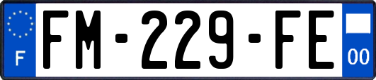 FM-229-FE