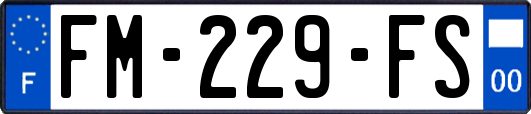 FM-229-FS