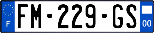 FM-229-GS
