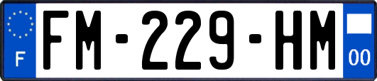 FM-229-HM
