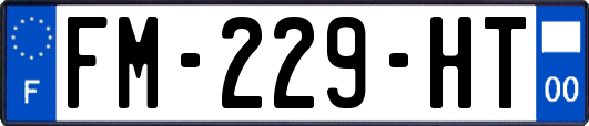 FM-229-HT