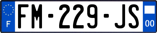 FM-229-JS