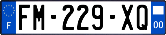 FM-229-XQ