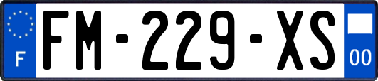 FM-229-XS