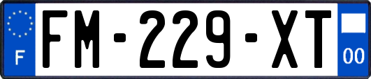 FM-229-XT