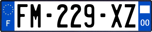 FM-229-XZ