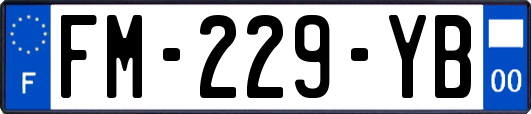 FM-229-YB