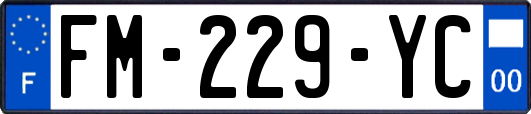 FM-229-YC