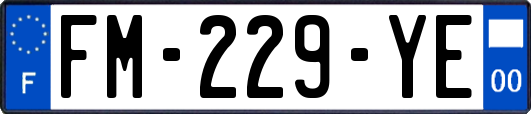 FM-229-YE