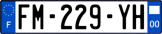 FM-229-YH