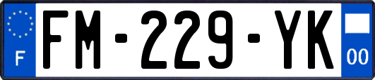 FM-229-YK
