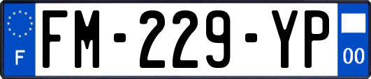 FM-229-YP