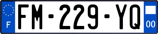 FM-229-YQ