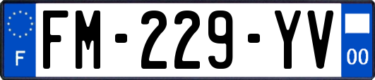 FM-229-YV
