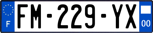 FM-229-YX